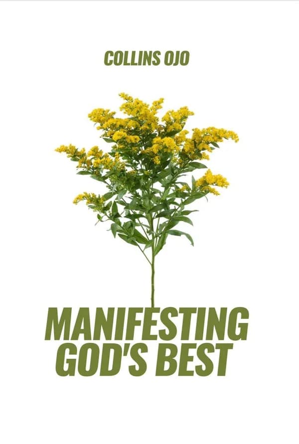 Manifesting God's Best cover